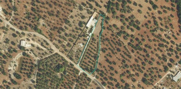 casa indipendente in vendita a Carovigno