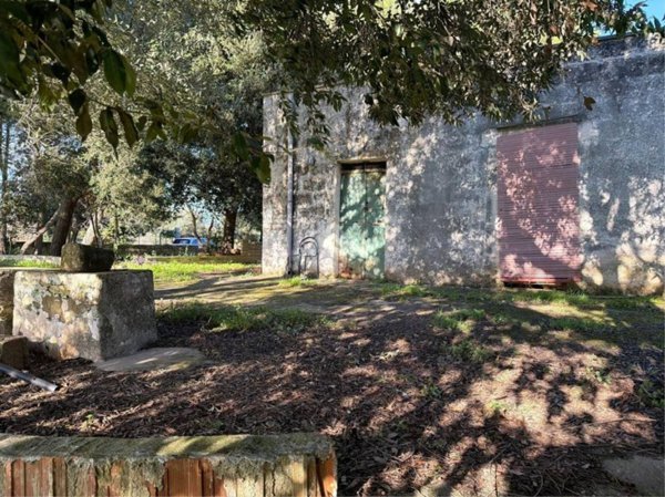 casa indipendente in vendita a Carovigno