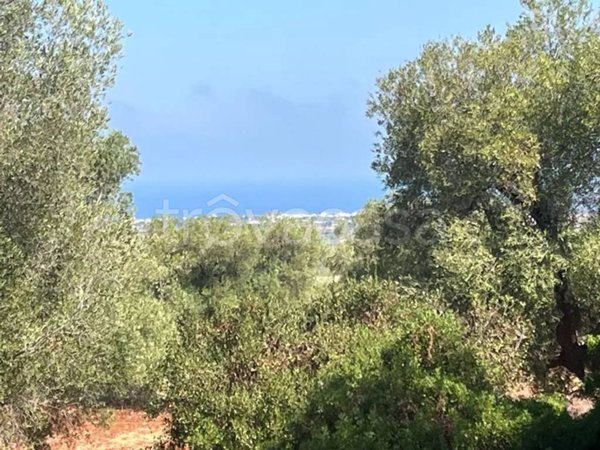 casa indipendente in vendita a Carovigno