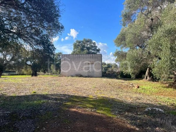 terreno agricolo in vendita a Carovigno