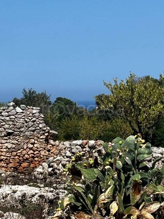 casa indipendente in vendita a Carovigno