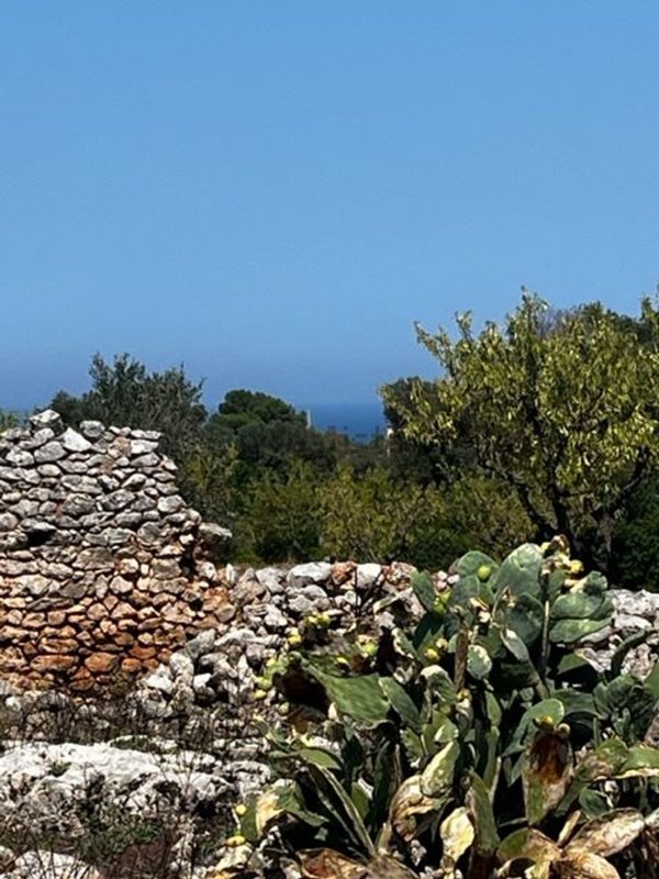 casale in vendita a Carovigno