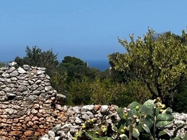 casa indipendente in vendita a Carovigno