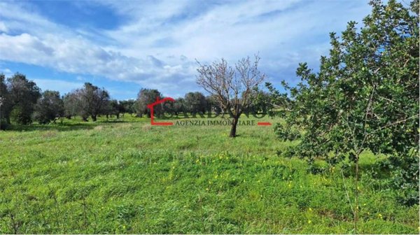 casa indipendente in vendita a Carovigno in zona Serranova