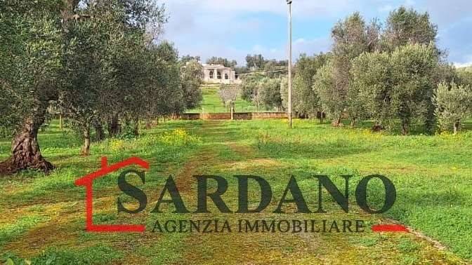 casa indipendente in vendita a Carovigno