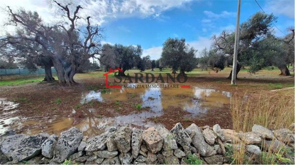 casa indipendente in vendita a Carovigno