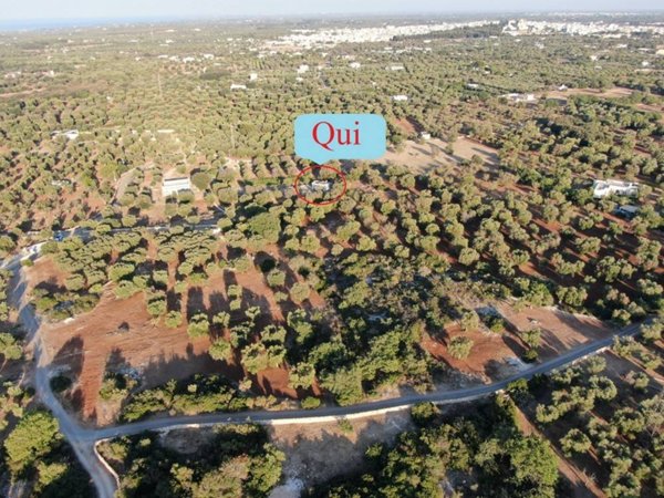 casa indipendente in vendita a Carovigno in zona Torre Santa Sabina