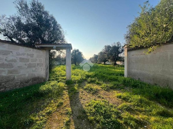 terreno agricolo in vendita a Carovigno in zona Serranova