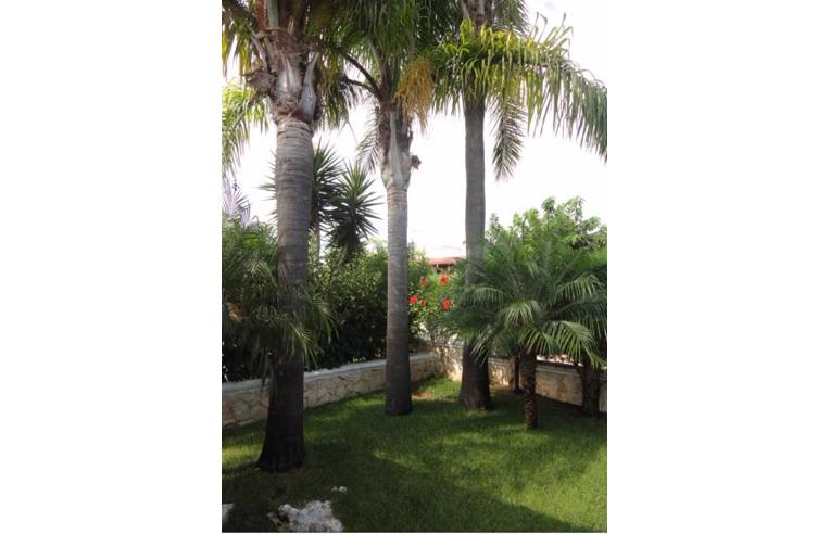 casa indipendente in vendita a Carovigno