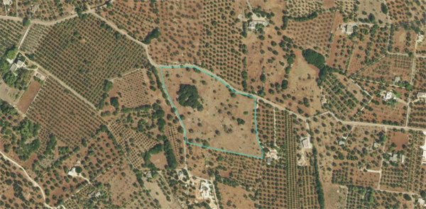 casa indipendente in vendita a Carovigno