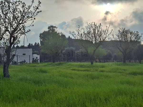 casa indipendente in vendita a Carovigno