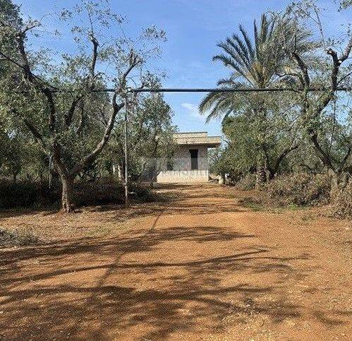 casa indipendente in vendita a Carovigno