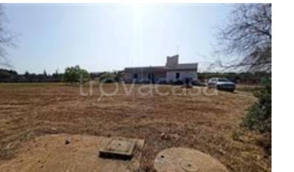 appartamento in vendita a Carovigno