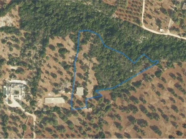 casa indipendente in vendita a Carovigno