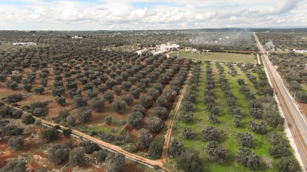 casa indipendente in vendita a Carovigno