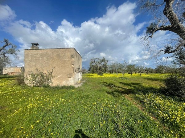 monolocale in vendita a Carovigno