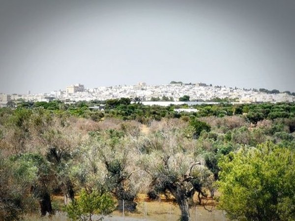 casa indipendente in vendita a Carovigno