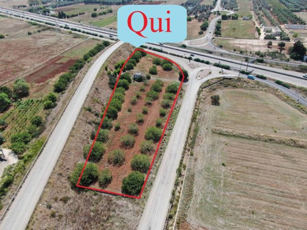 appartamento in vendita a Carovigno in zona Serranova