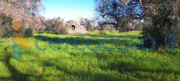 casa indipendente in vendita a Carovigno