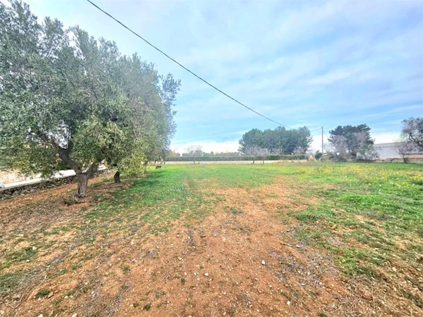 terreno edificabile in vendita a Carovigno