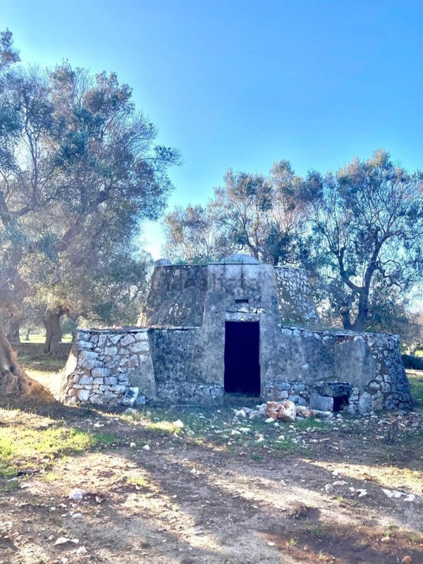 appartamento in vendita a Carovigno