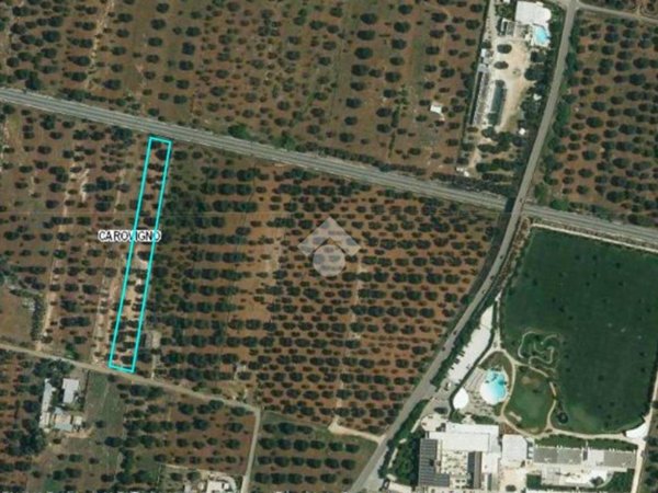 terreno agricolo in vendita a Carovigno