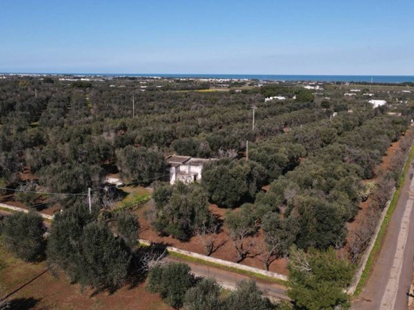 casa indipendente in vendita a Carovigno