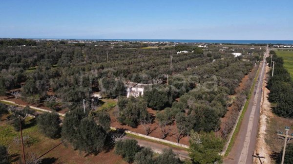 casa indipendente in vendita a Carovigno