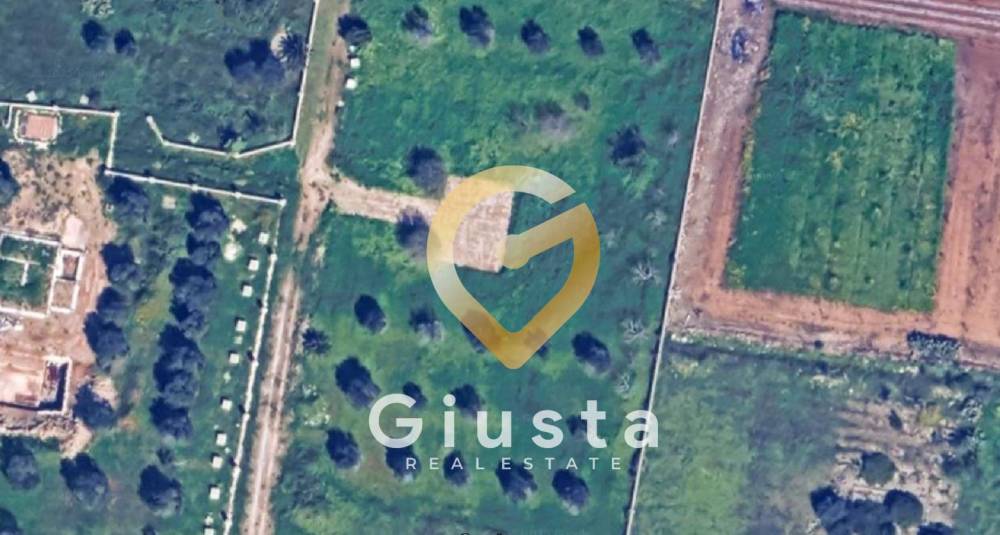 casa indipendente in vendita a Carovigno