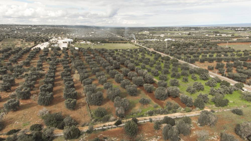 appartamento in vendita a Carovigno in zona Serranova
