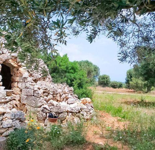 casa indipendente in vendita a Carovigno