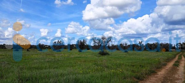 casa indipendente in vendita a Carovigno in zona Serranova