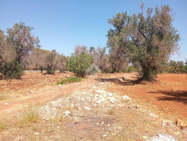 casa indipendente in vendita a Carovigno