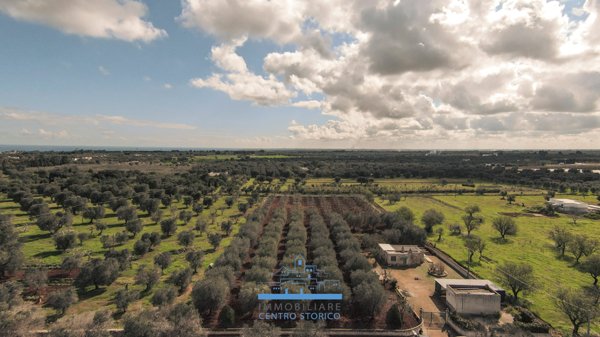 casa indipendente in vendita a Carovigno