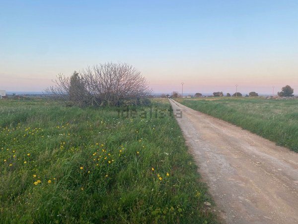 casa indipendente in vendita a Carovigno in zona Serranova