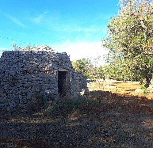 casa indipendente in vendita a Carovigno