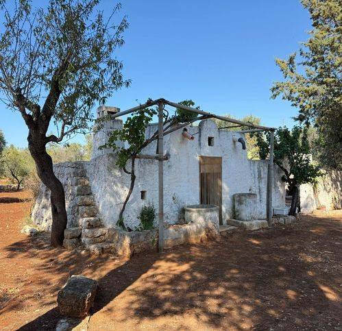 casa indipendente in vendita a Carovigno