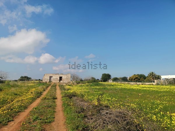 appartamento in vendita a Carovigno