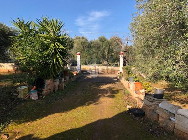 appartamento in vendita a Carovigno