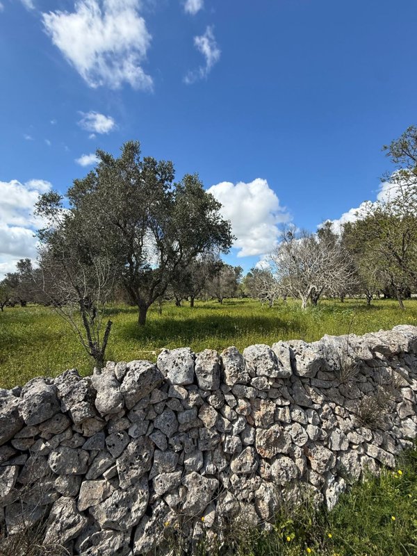 appartamento in vendita a Carovigno