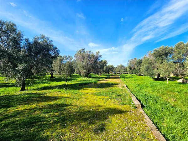 casa indipendente in vendita a Carovigno