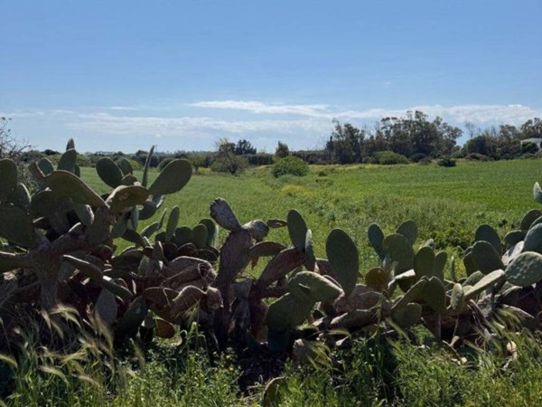 casa indipendente in vendita a Carovigno