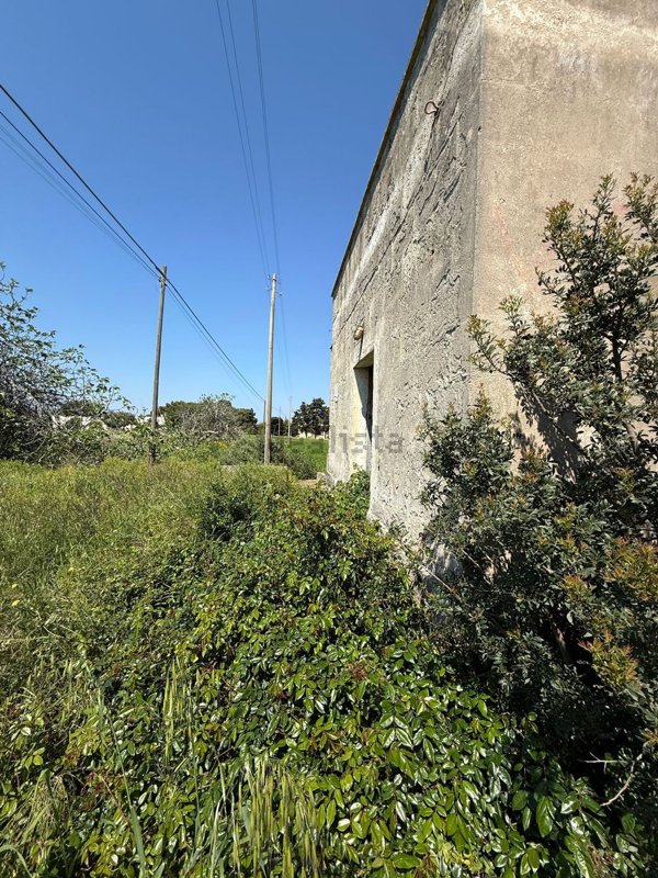 azienda agricola in vendita a Carovigno