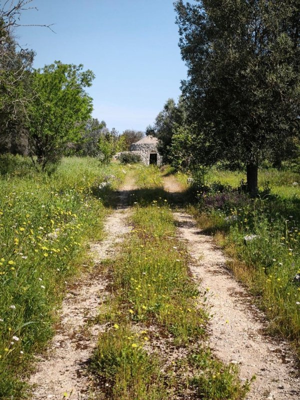 monolocale in vendita a Carovigno