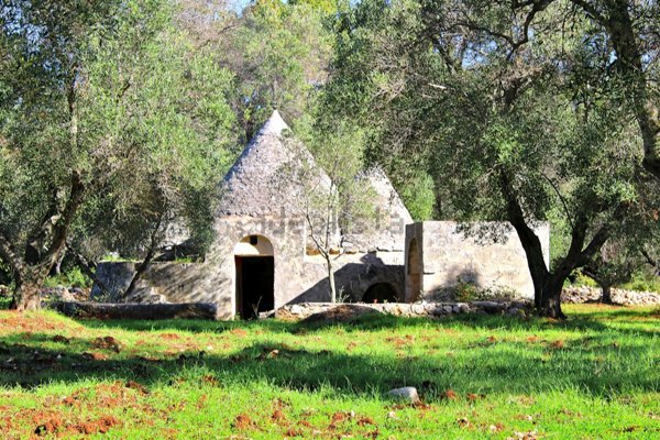 appartamento in vendita a Carovigno
