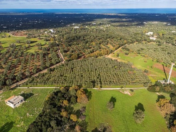 casa indipendente in vendita a Carovigno