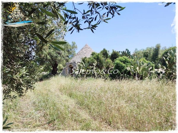 appartamento in vendita a Carovigno