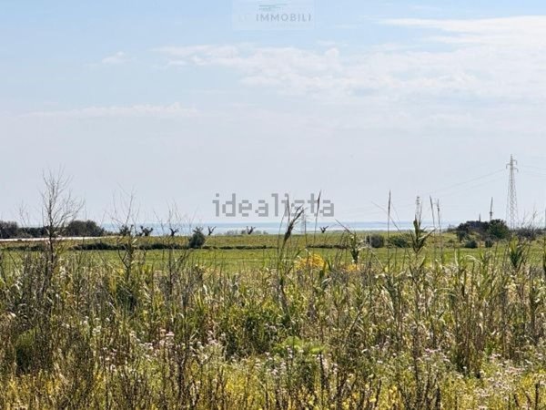 casa indipendente in vendita a Carovigno