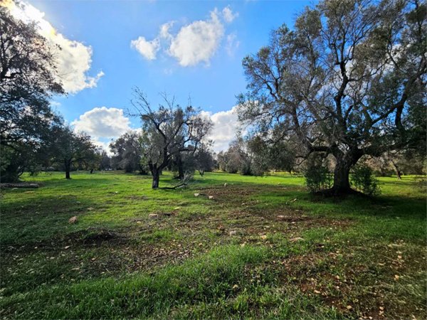 terreno edificabile in vendita a Carovigno