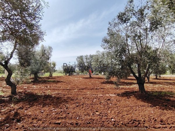 casa indipendente in vendita a Carovigno
